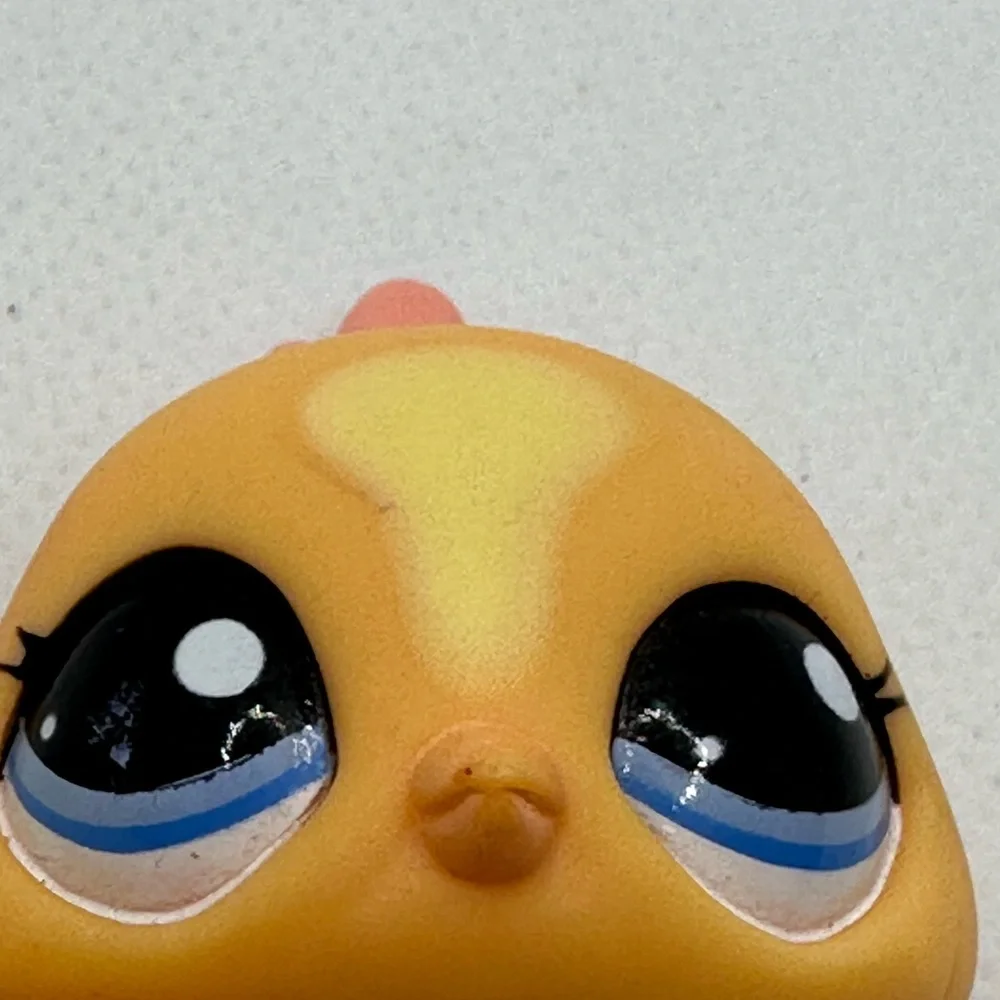 Orange and Yellow Pastel Peacock‎ Bird Littlest Pet Shop.  Guaranteed authentic